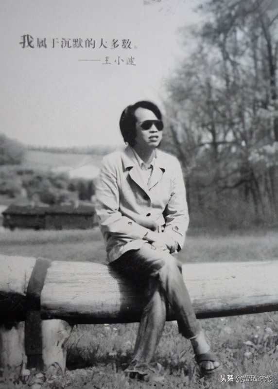 王小波黄金时代是写自己吗,解读王小波黄金时代