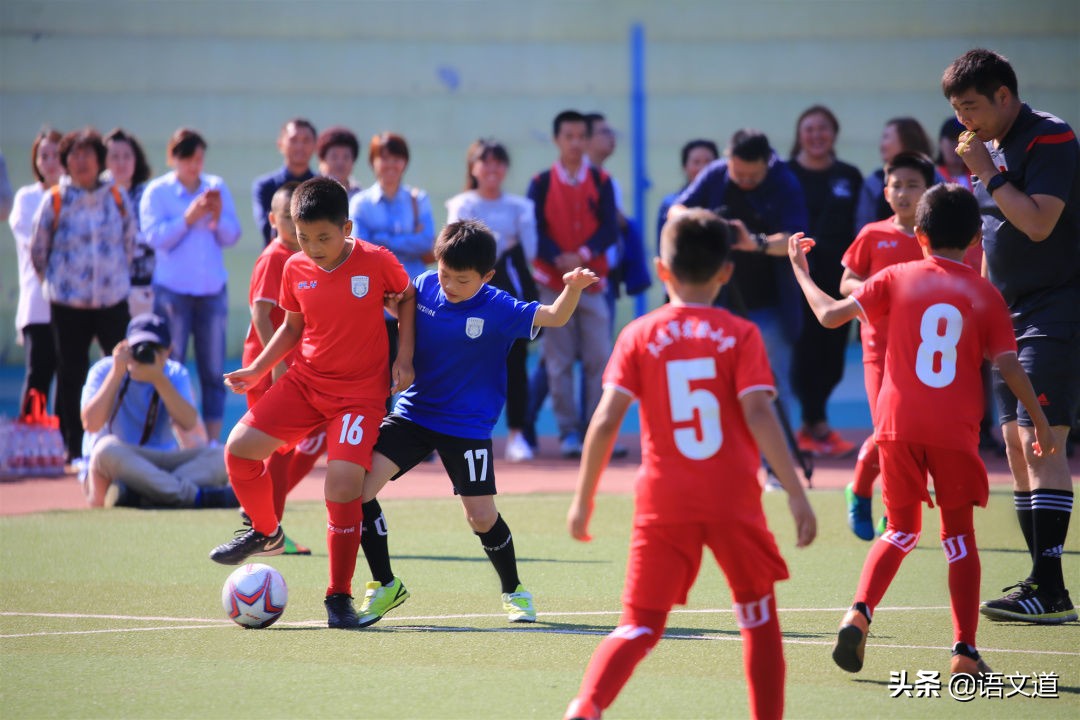 3万人足球场面积约多少平方米,3000人的体育场有哪些