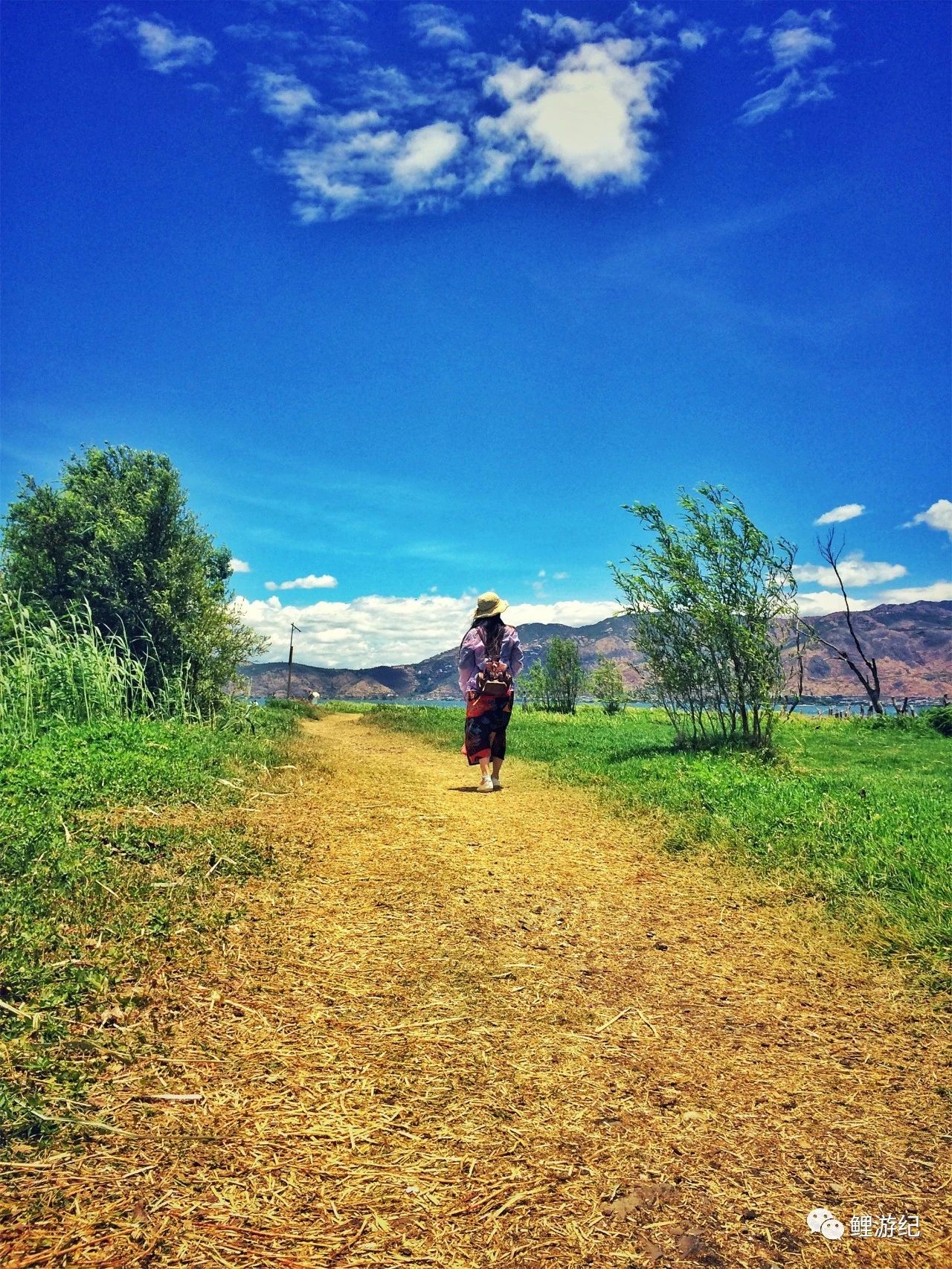 环海公路好看的图片,西南风景图片横图