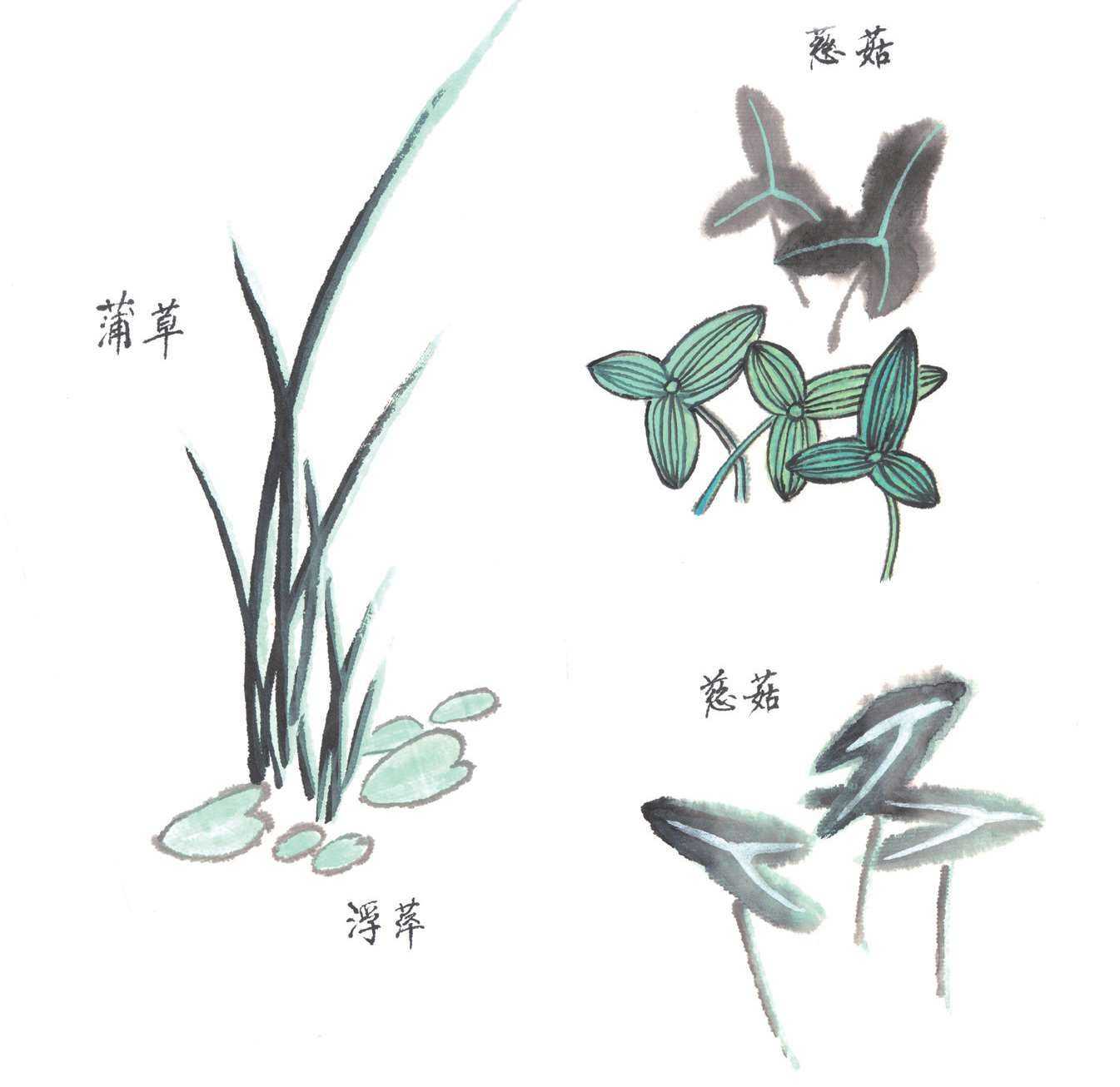 国画荷花入门基本笔画教程,国画入门零基础荷花直接画法