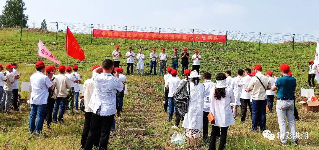 警惕这类疾病进入高发期,警惕这类疾病来袭