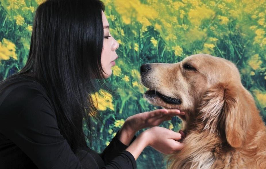 狗狗常发抖,狗狗最近经常发抖是什么原因