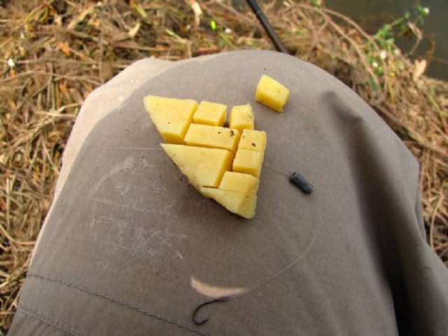 鲤鱼怎么做肉质劲道,钓鱼人喜欢鲤鱼吗