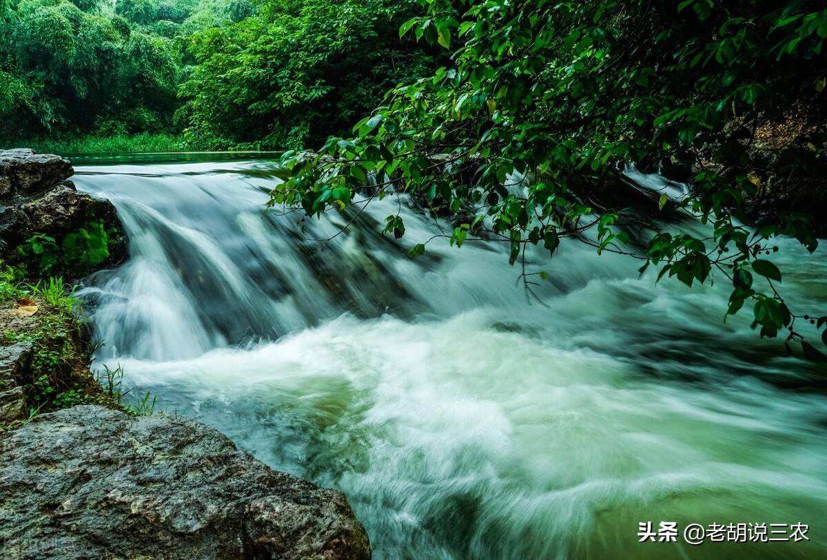 井水打农药影响药效吗,井水兑药降低药效吗