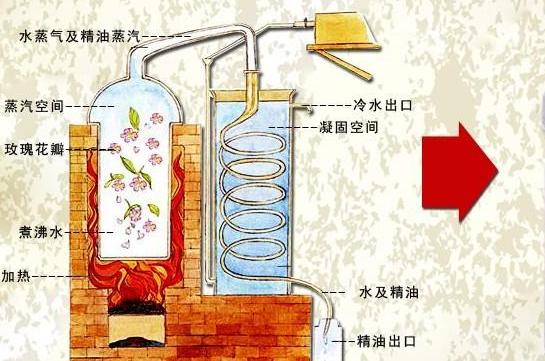 为什么都喜欢用精油,为什么使用精油抗衰老