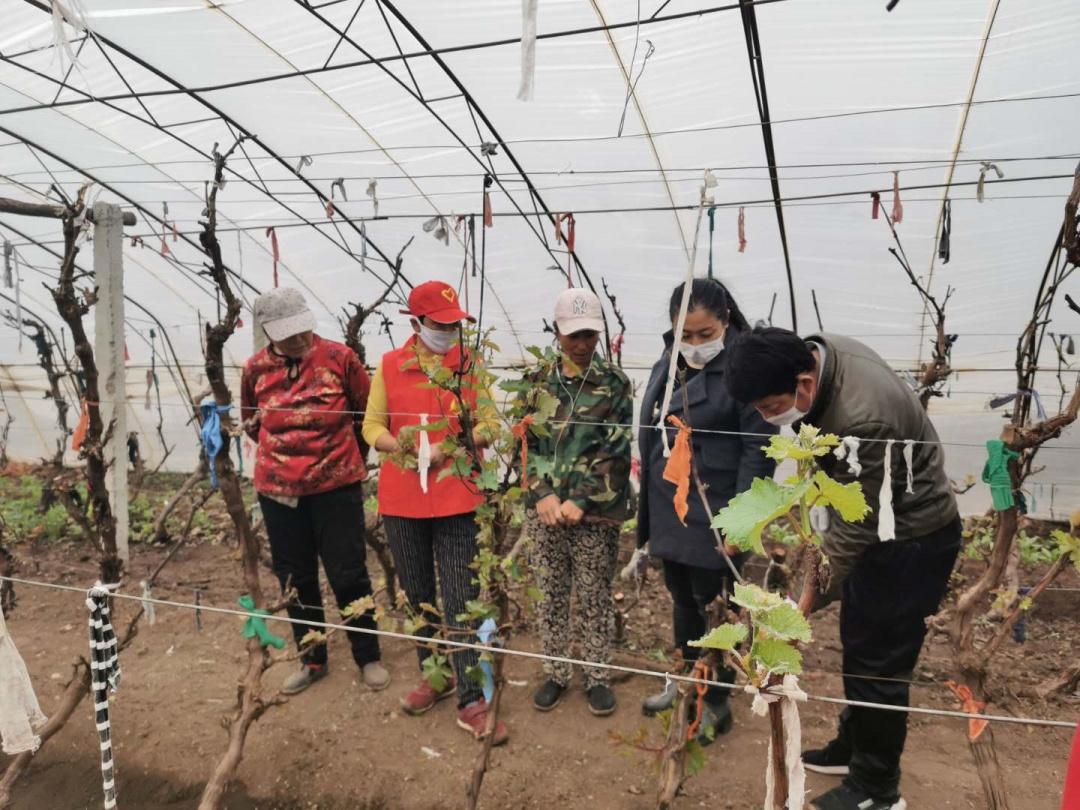 绐佹硥姘戞棌鍥㈢粨杩涙鍒涘缓绯诲垪娲诲姩,绐佹硥姘戞棌鍥㈢粨杩涙鍒涘缓