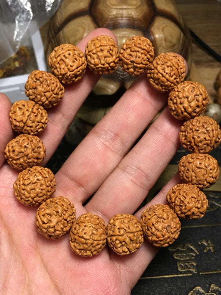 金刚菩提最全纹路解析,大金刚菩提纹路种类图解