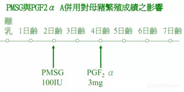 母猪不发情吃什么药,母猪为什么不生崽