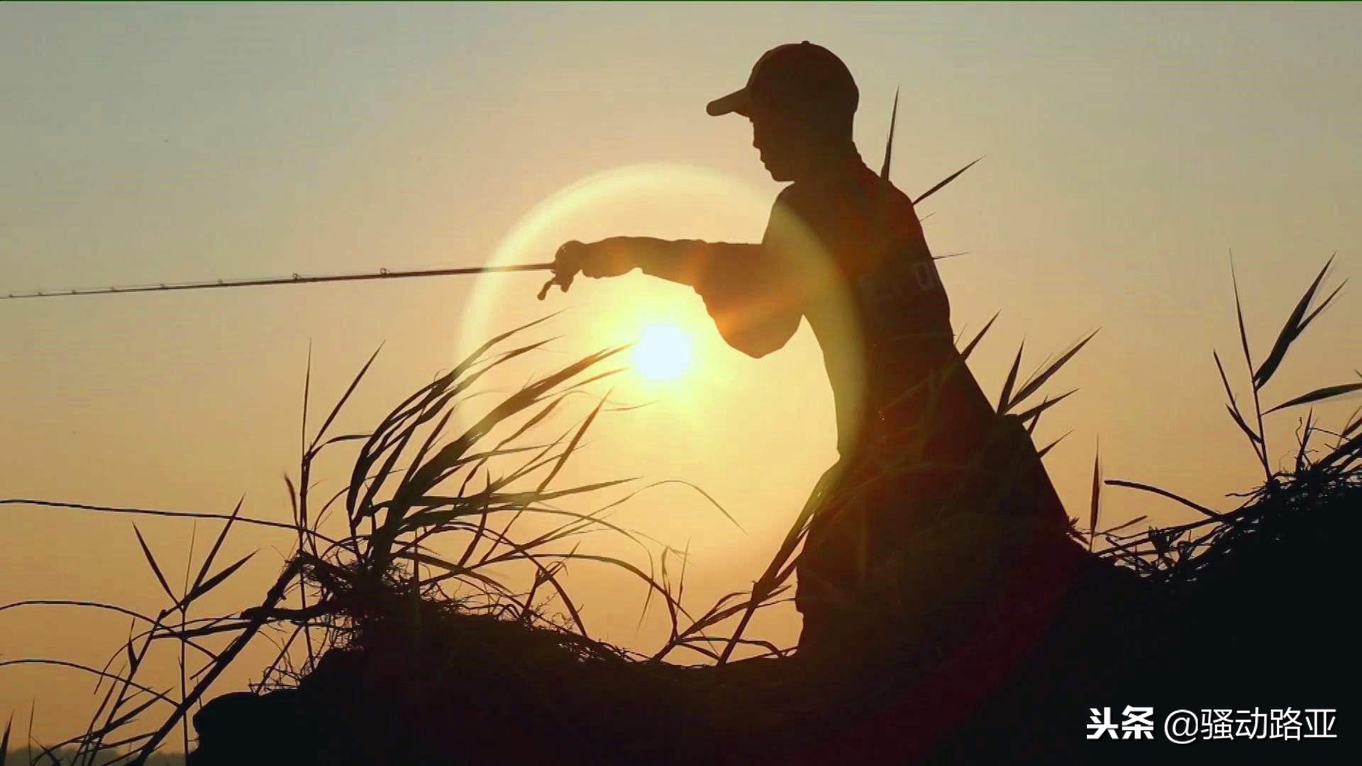 新手路亚选择什么参数,新手玩路亚7个必知的技巧常识