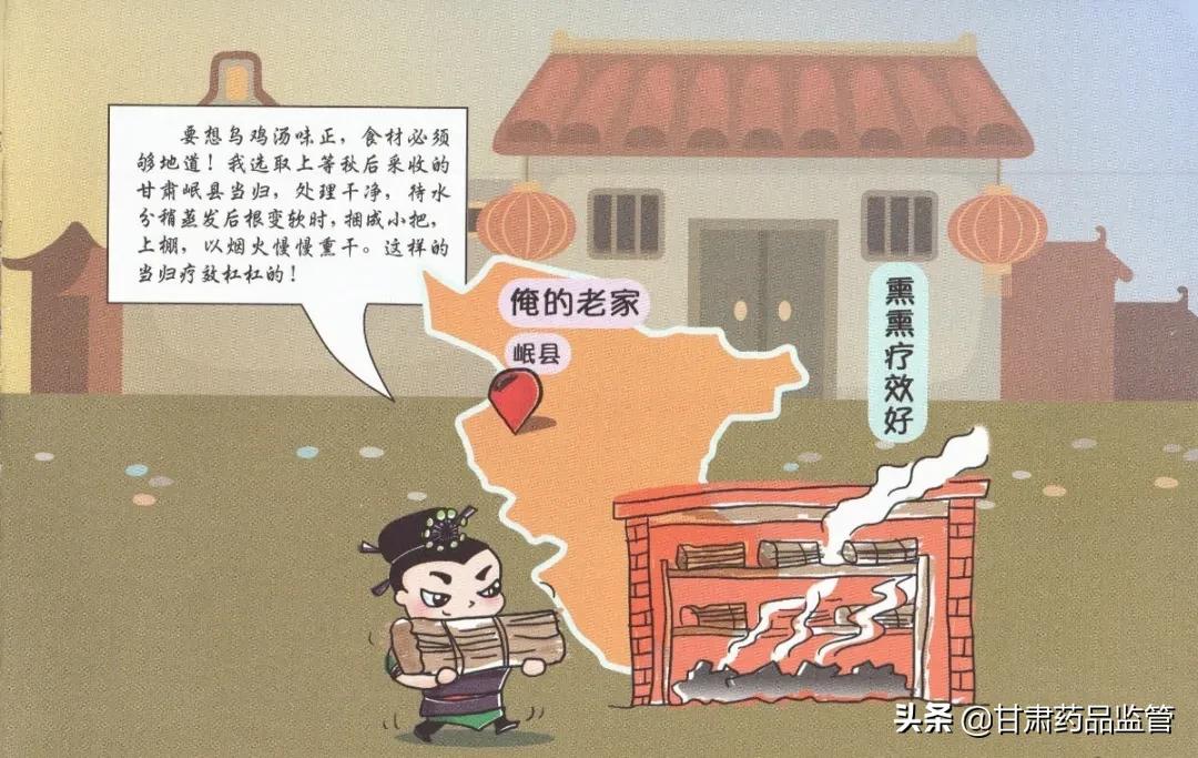 当归中药科普,中药当归介绍