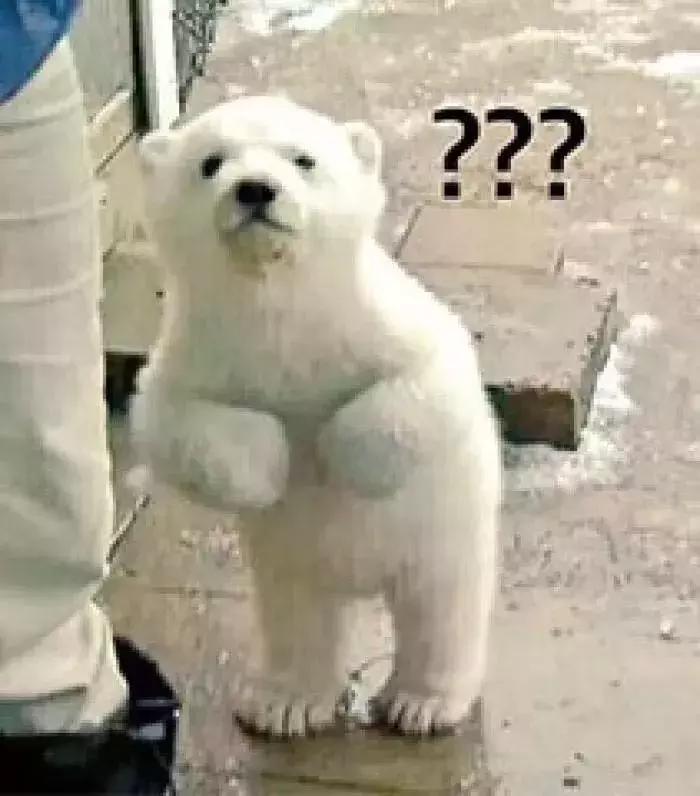 晒太阳能杀死螨虫吗,阳光下暴晒除螨虫效果好吗