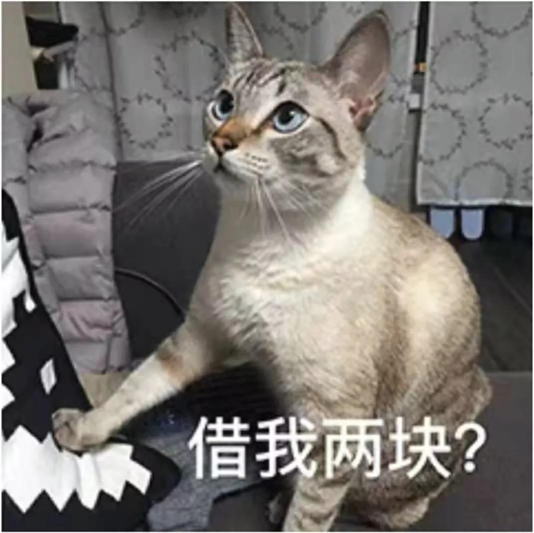 微信聊天记录怎么导出打官司证据,微信聊天记录怎么导出来成为证据