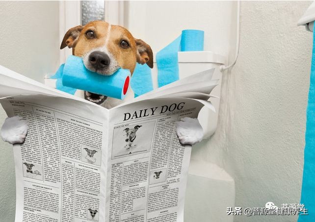 女性什么时候更容易便秘？