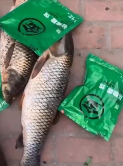 杆子断了就去配节啊