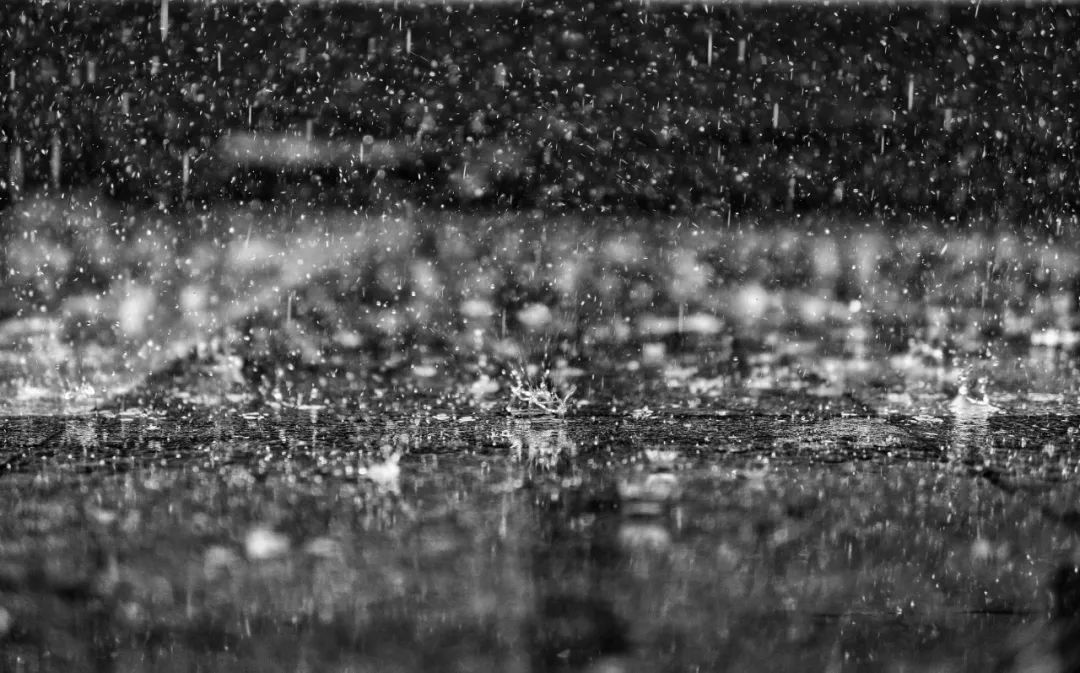 抗疫诗歌大展之十三｜在被管制的人间，梅花又悄悄开了