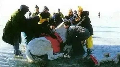 98版水浒传武松精彩瞬间,98版水浒传中武松打虎的视频