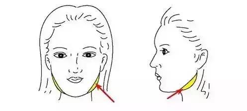 你适合瘦脸针还是溶脂针,你是否适合瘦脸针