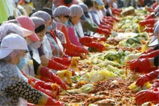 李子柒做泡菜被韩国人评论,李子柒制作泡菜却被韩国网友炮轰