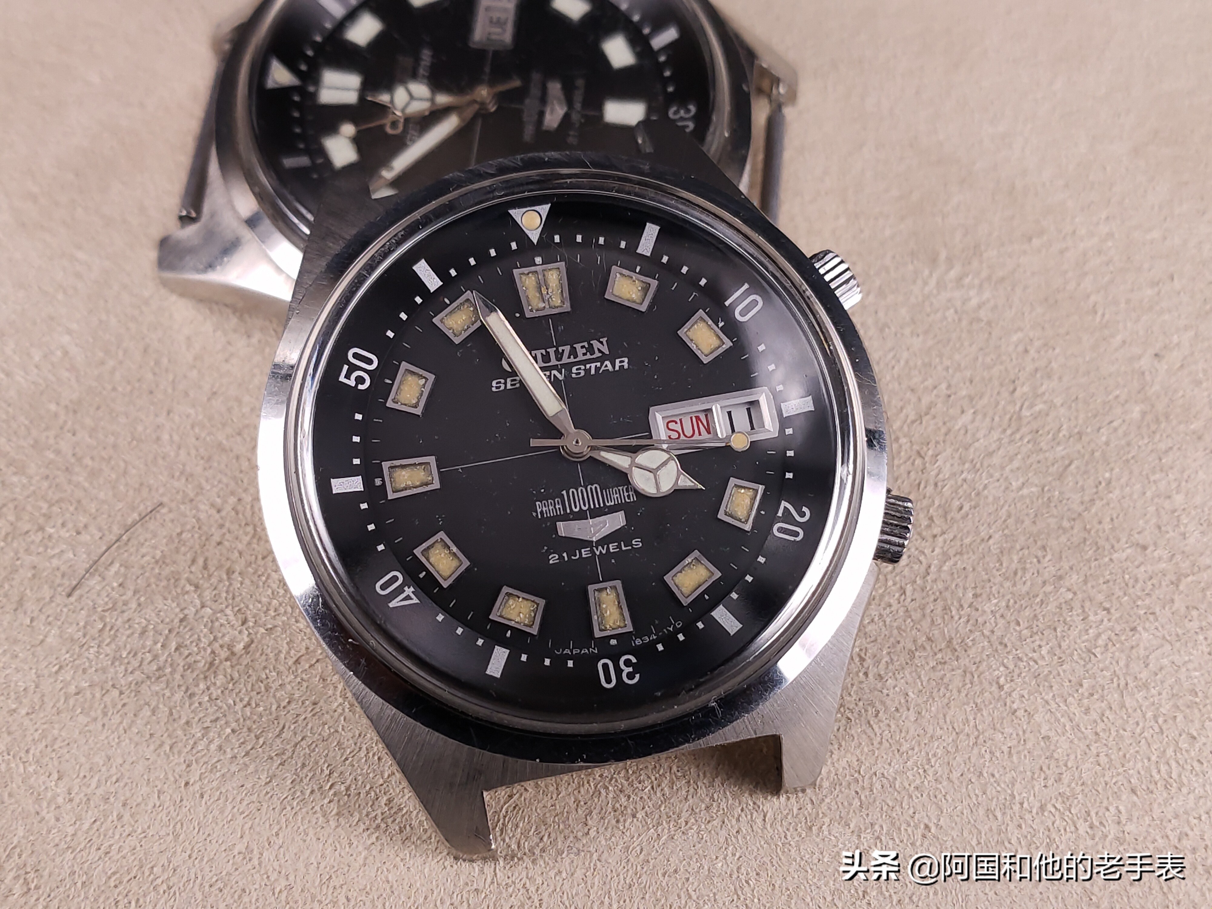 50年后的相见两只西铁城水鬼