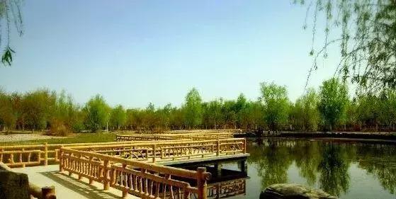 塔里木大学新疆的沙漠学府,塔里木大学周围的沙漠