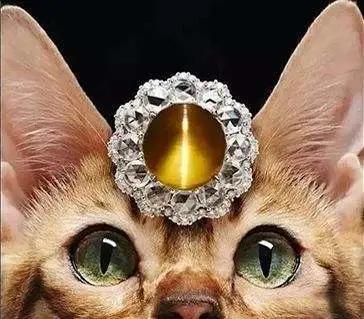金曜石猫眼品质,猫眼哪家的质量最好