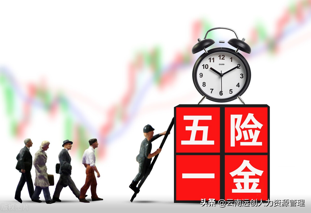 自己交保险可以不交生育金吗,没上班生育险可以自己续缴吗