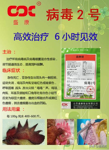 肉鸭全程用药保健程序