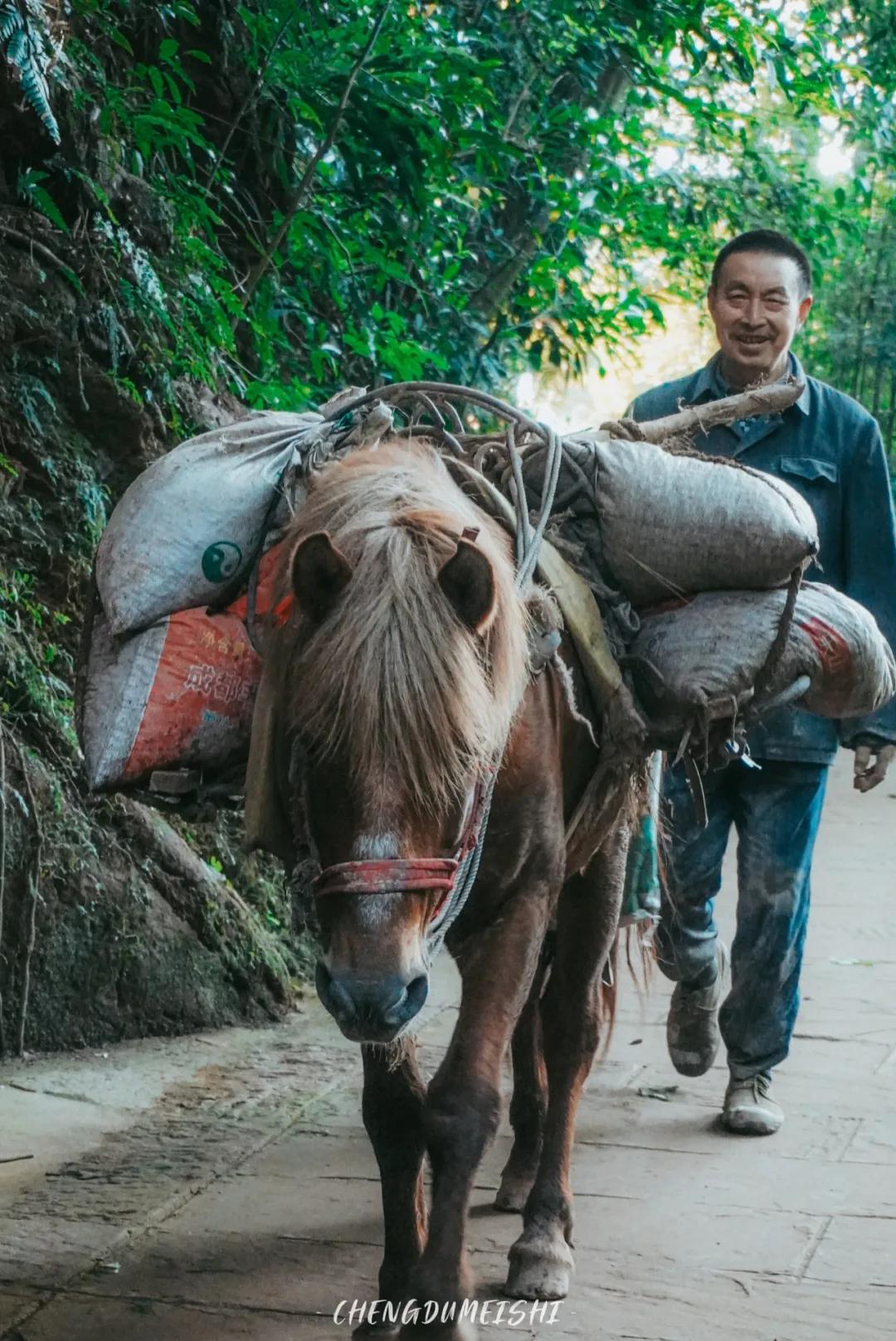 四川省青神县有哪些地方,四川青神有什么好玩的