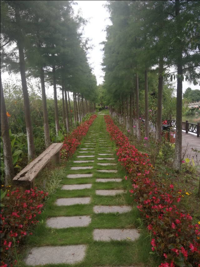 上海浦东周浦镇,上海浦东小镇