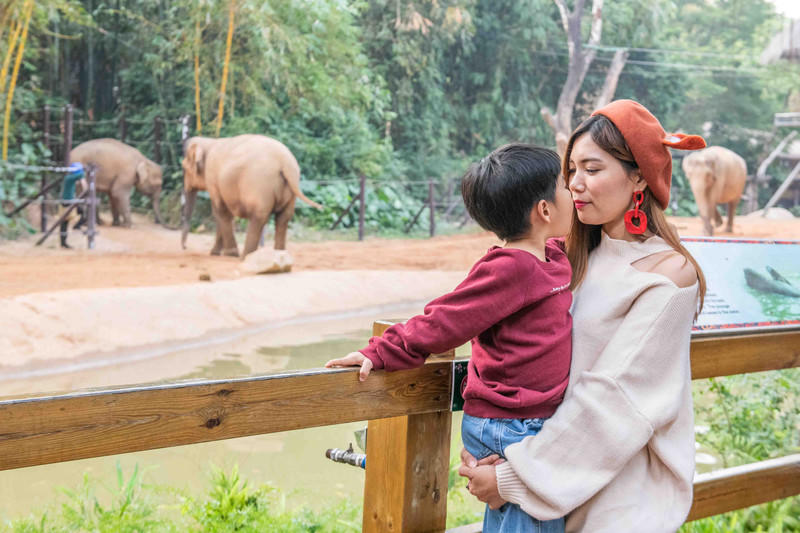 广州长隆野生动物世界旅游攻略,长隆野生动物世界攻略2-3天广州游