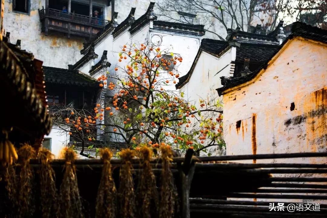 《论语》中的精华,只读一遍,受益终生