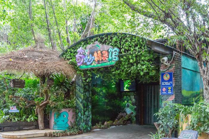 长隆飞鸟乐园湿地精灵,长隆飞鸟公园一日游攻略