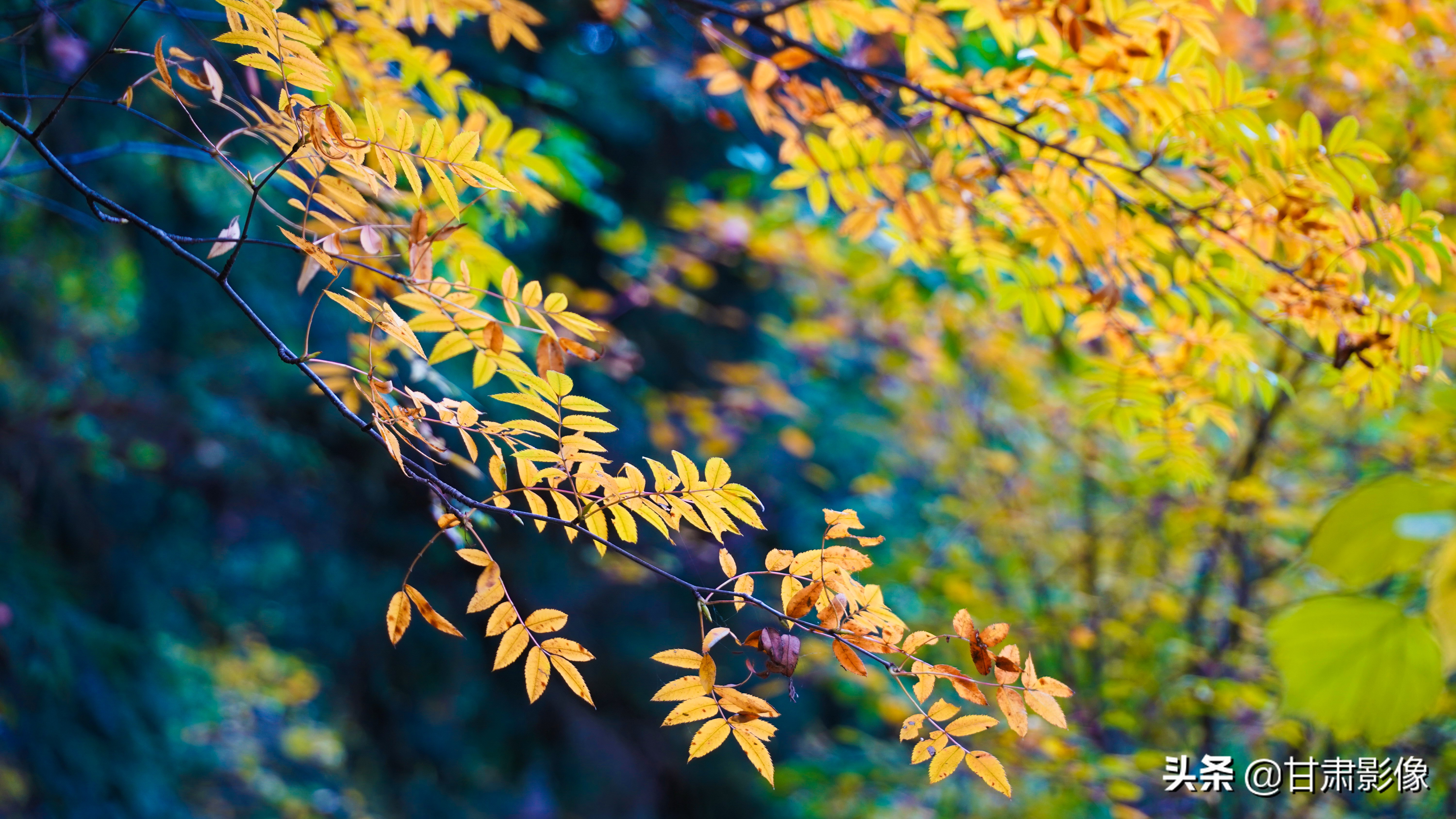 索尼电影镜头28-135能拍照吗,索尼相机18-135镜头介绍