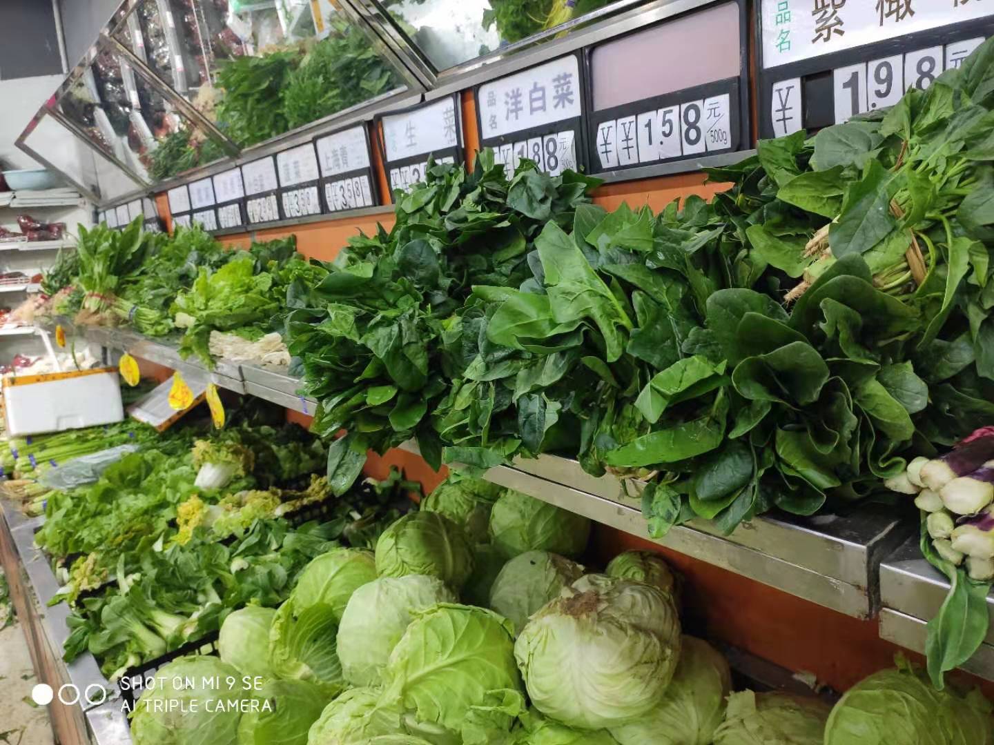 怀念阳光下自由呼吸的味道