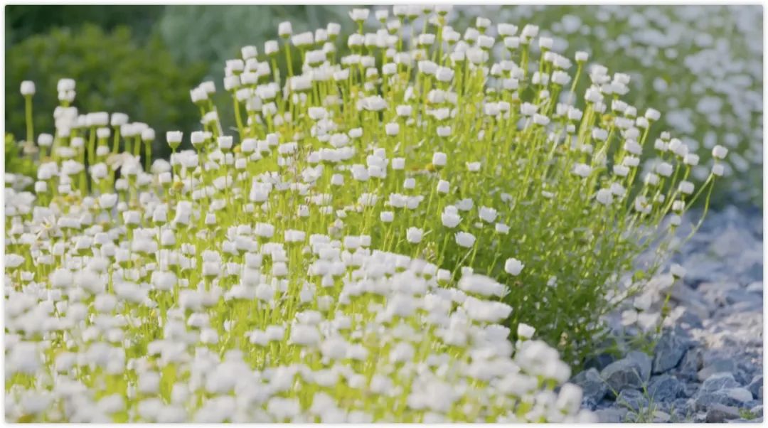 腾讯高管辞职隐居,腾讯元老隐居合肥