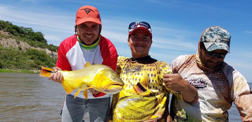 27公分的黄金河虎,黄金河虎凶猛吗