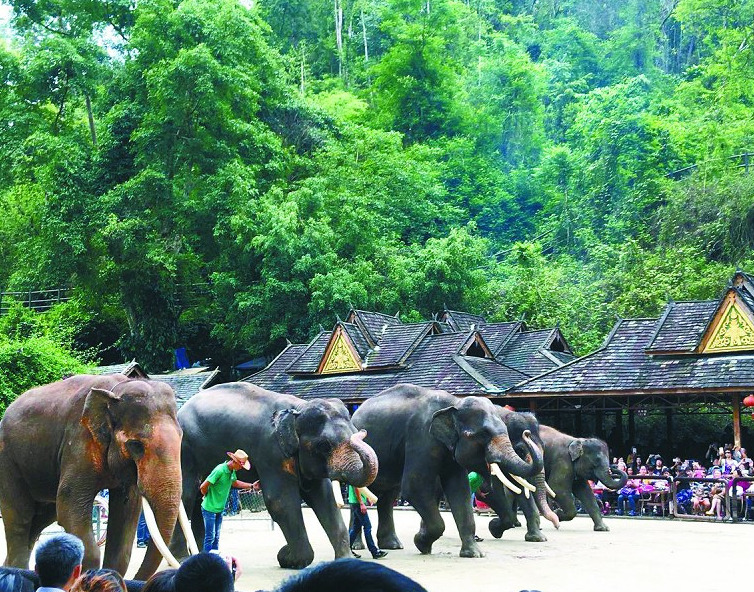 西双版纳环途旅游,西双版纳旅游度假攻略