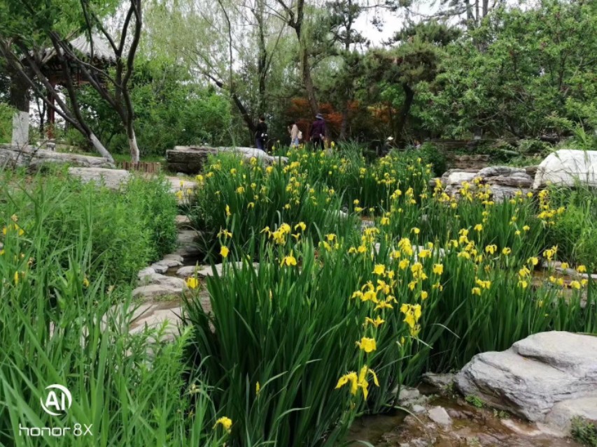 减河公园,减河公园的视频