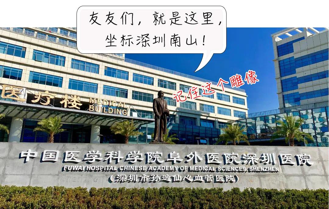 “我的心又不疼！”香港老板忙着上市，却被深圳医生“拖”住！