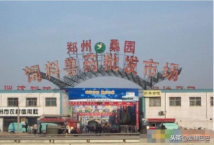 郑州市兽药批发市场哪个最大,全国最大兽药饲料批发市场