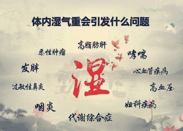中医体湿是啥意思,中医学中说体内有湿是讲什么