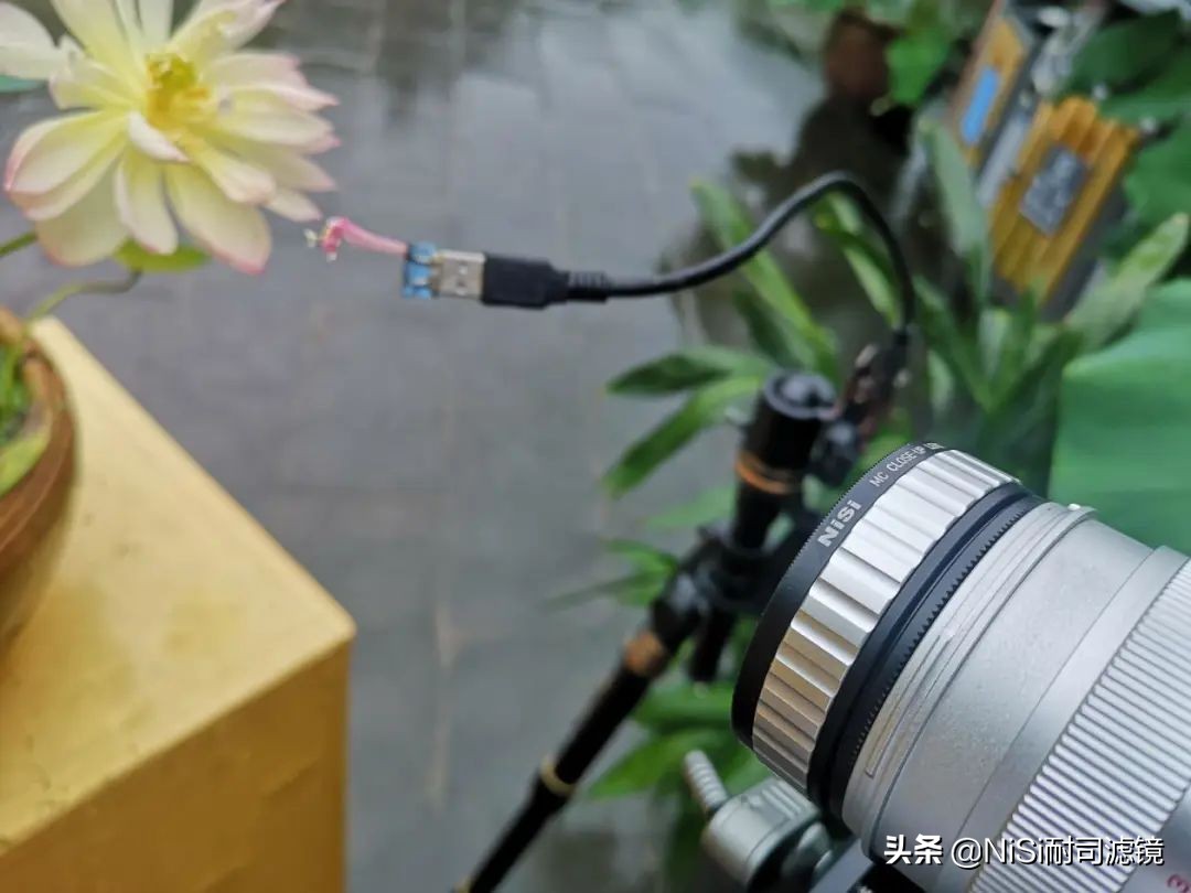 微距拍摄滑轨推荐,微距拍照最强的千元机实测