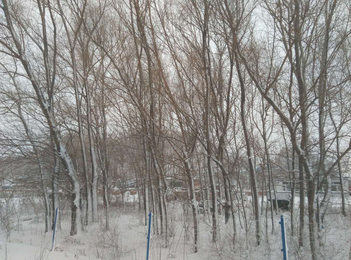 农商银行驻村工作日志,驻村辅警工作日志模板