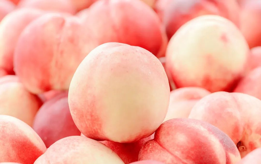 连同事都抢着试的高颜值口喷,用完嘴巴好清新,哈气都是香的