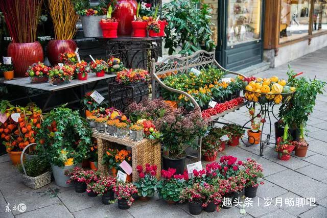 被丈夫暴打的她离家出走活出了自己的精彩，之后又把女儿接到身边