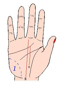 看手相可以预测什么,手相能预测考试吗