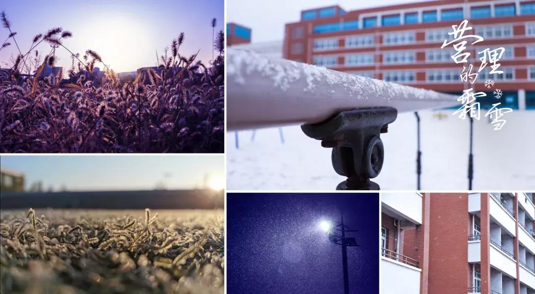 营口理工学院咋样,辽宁省公办高校营口理工学院