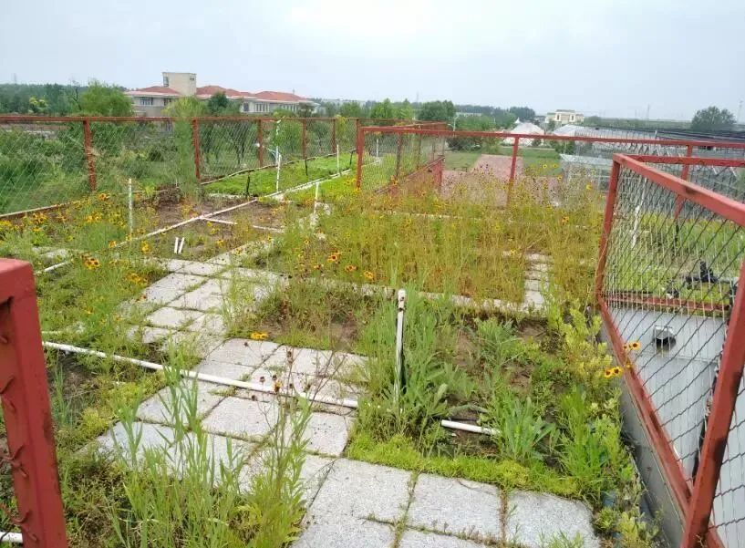 从楼顶看地面,从屋顶看故宫