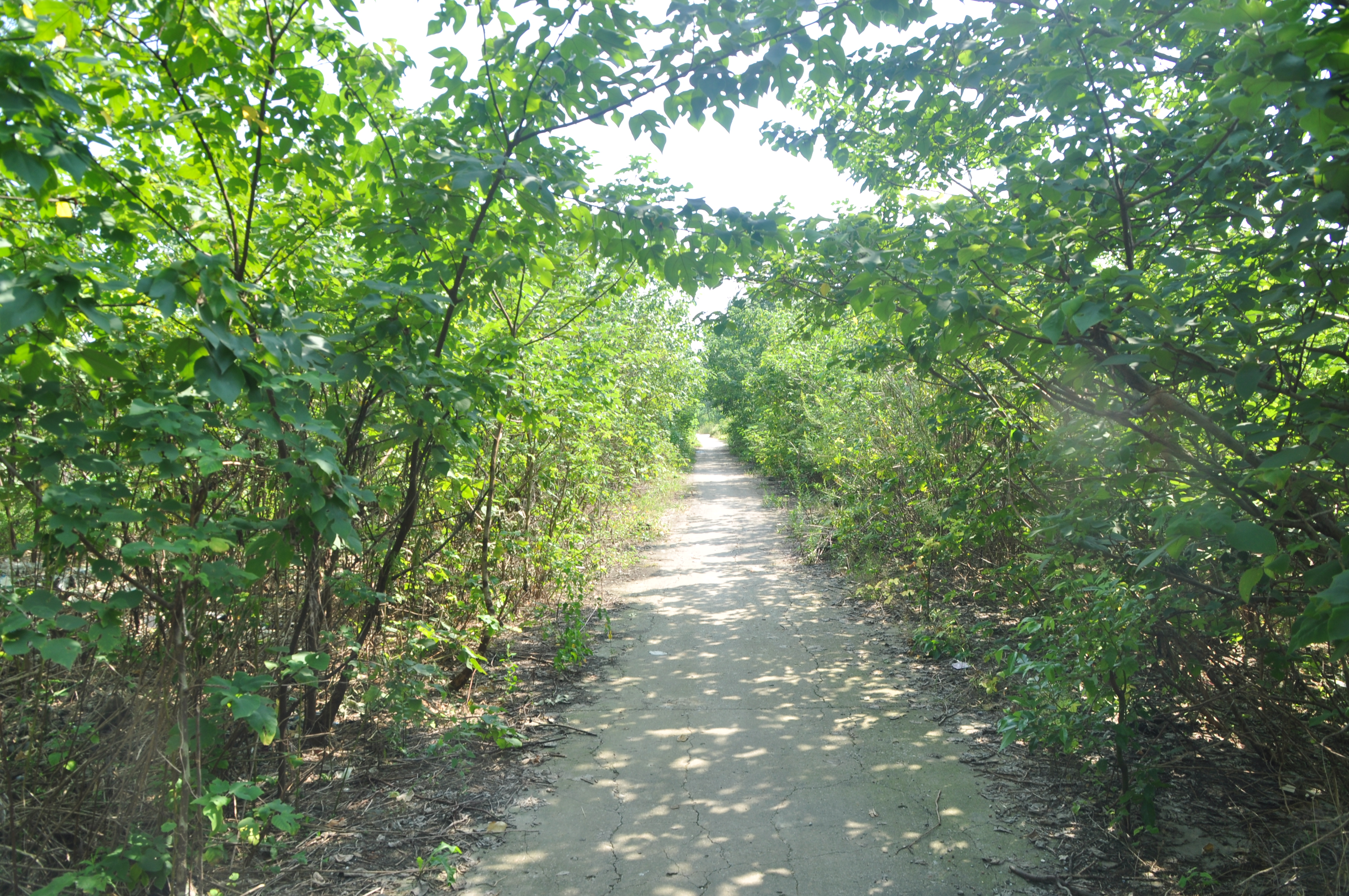 常州胥城遗址,常州遗址景点