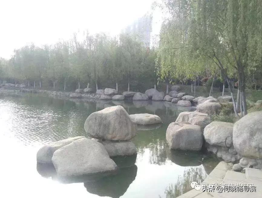 城市推介官推介家乡,武汉城市推介会